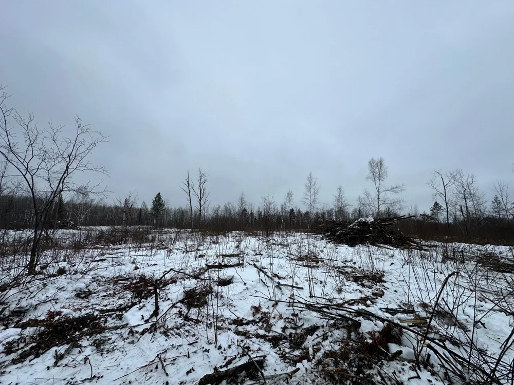 TBD #3 Koecher Road Kerrick, MN 55756