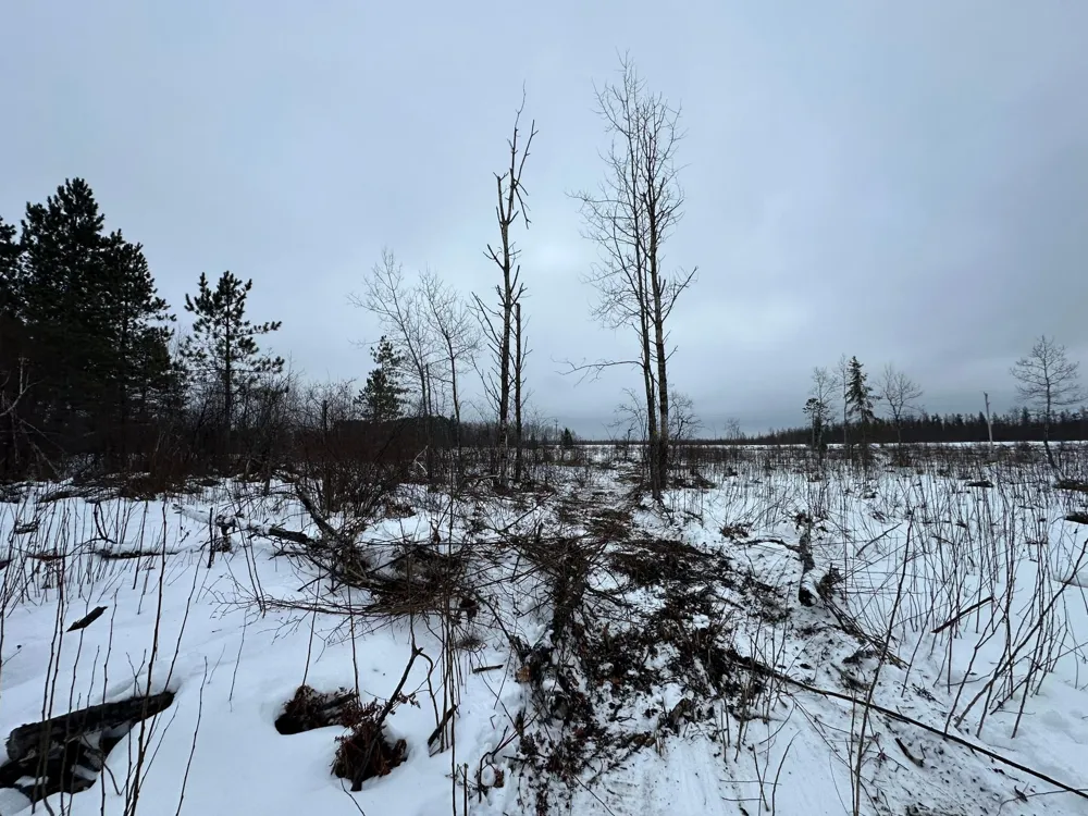 TBD #3 Koecher Road Kerrick, MN 55756