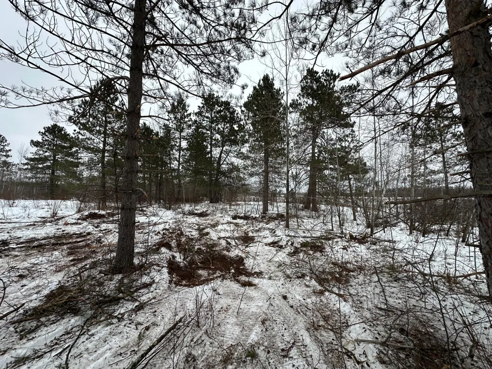 TBD #3 Koecher Road Kerrick, MN 55756