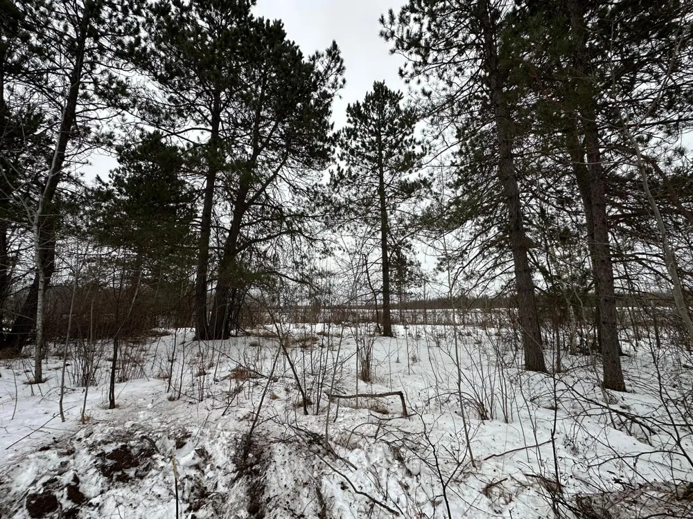 TBD #3 Koecher Road Kerrick, MN 55756