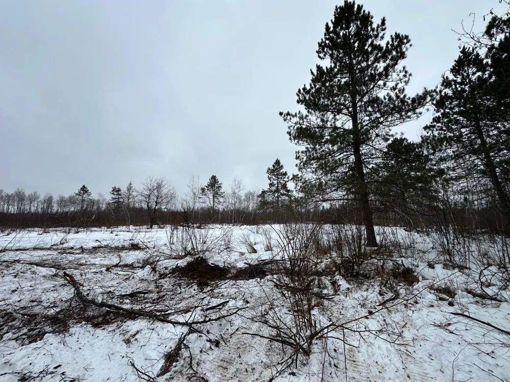 TBD #3 Koecher Road Kerrick, MN 55756