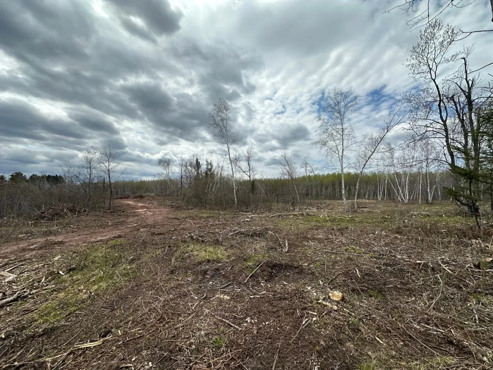 TBD #2 Koecher Road Kerrick, MN 55756