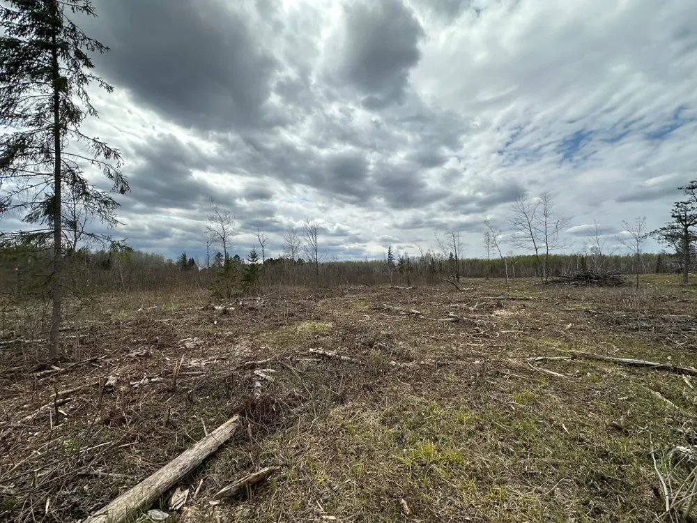 TBD #2 Koecher Road Kerrick, MN 55756