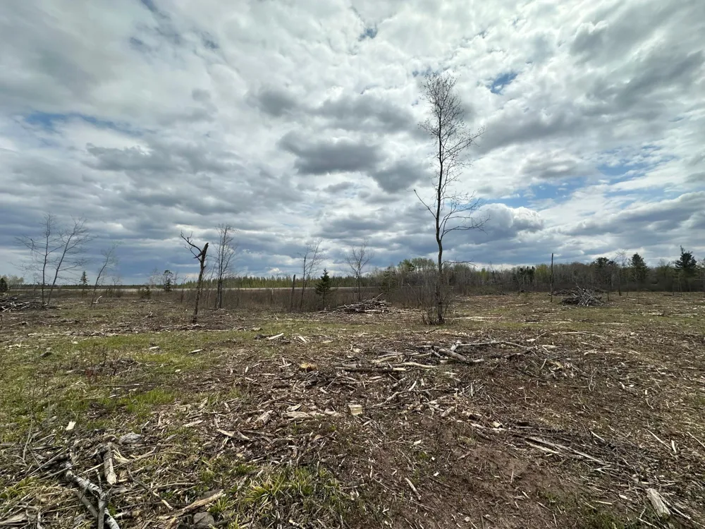 TBD #2 Koecher Road Kerrick, MN 55756
