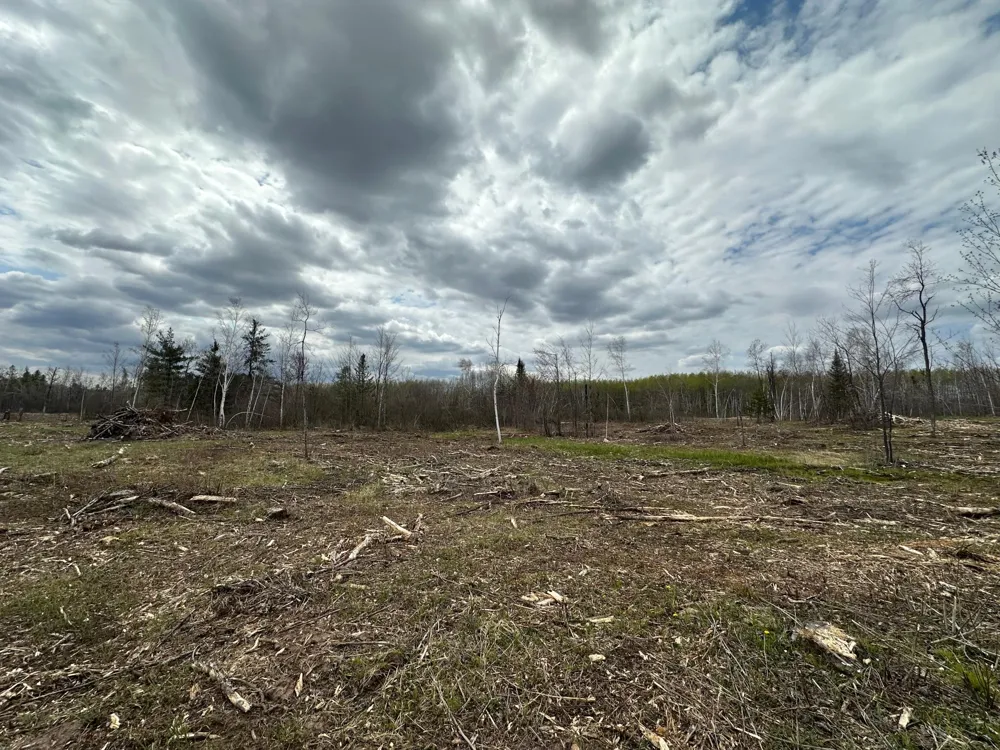 TBD #2 Koecher Road Kerrick, MN 55756