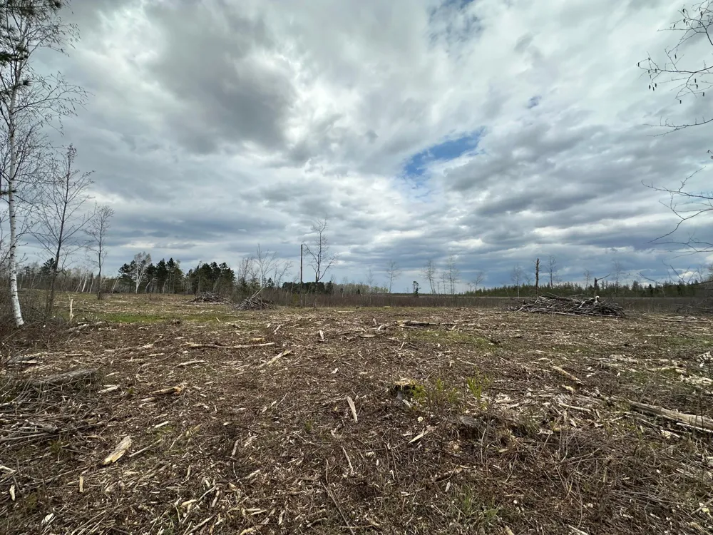 TBD #2 Koecher Road Kerrick, MN 55756