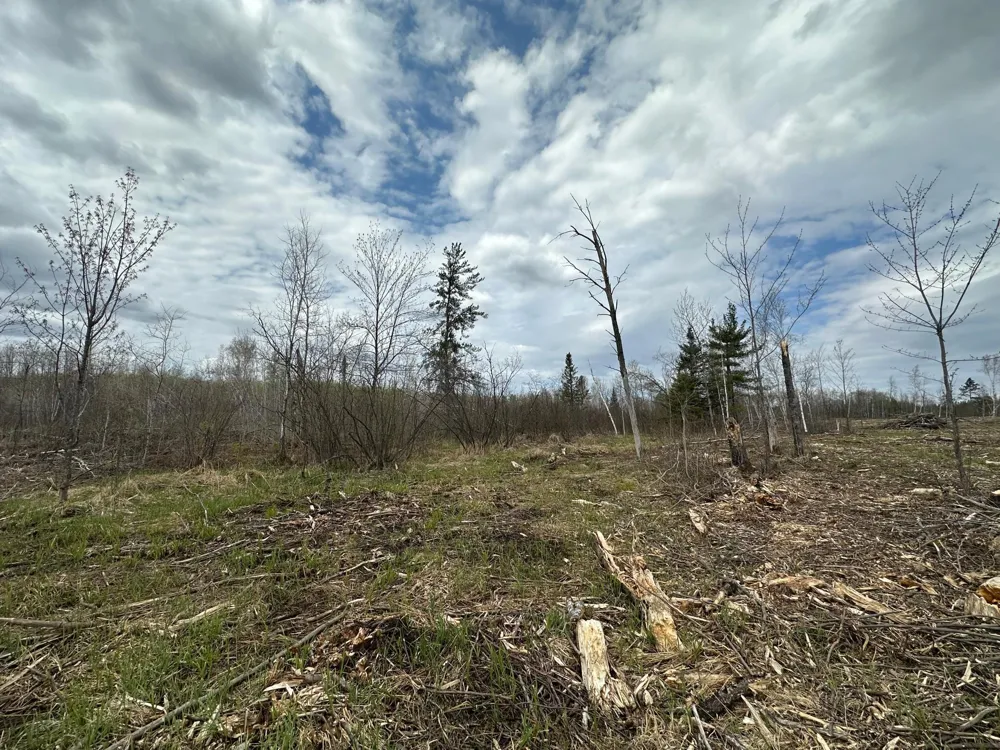TBD #2 Koecher Road Kerrick, MN 55756