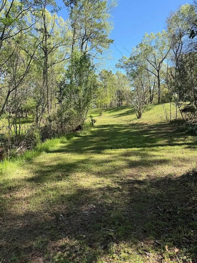 4001 Carters Ferry Road E Milam, TX 75959