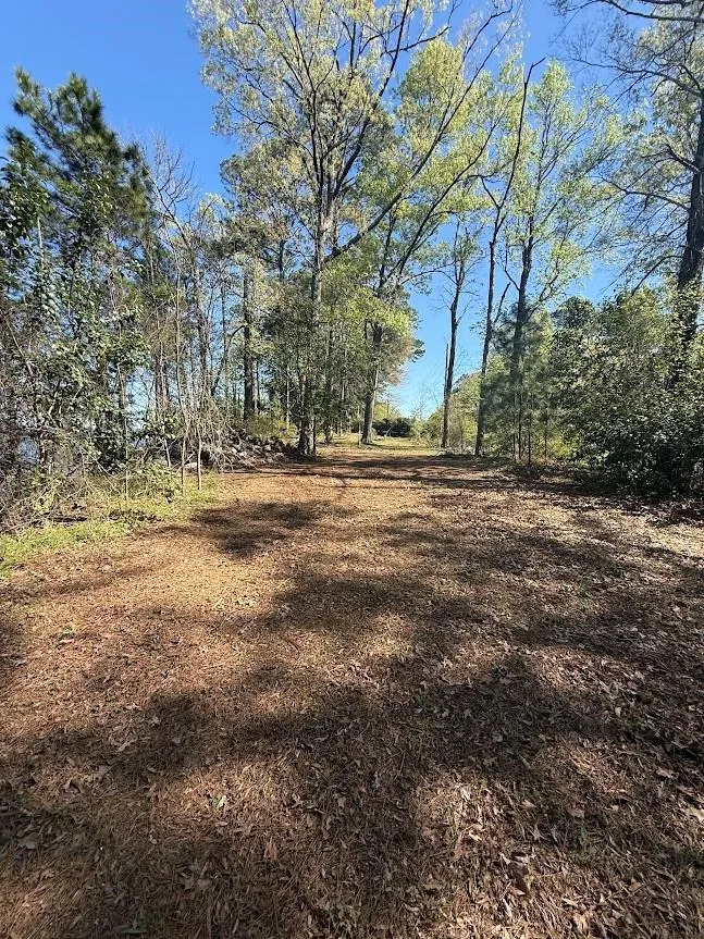 4001 Carters Ferry Road E Milam, TX 75959