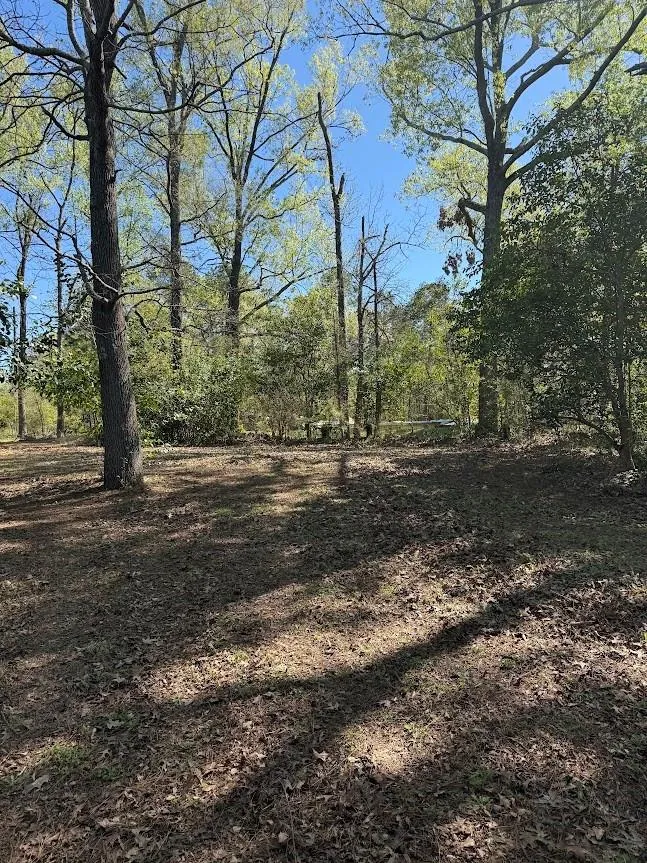 4001 Carters Ferry Road E Milam, TX 75959