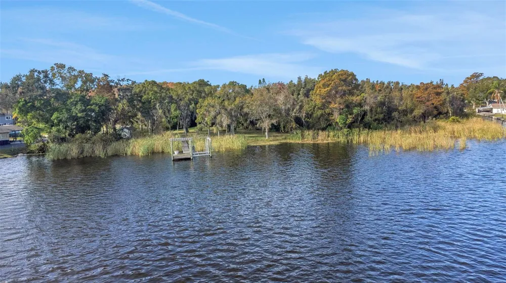 2661 CYPRUS DRIVE Palm Harbor, FL 34684
