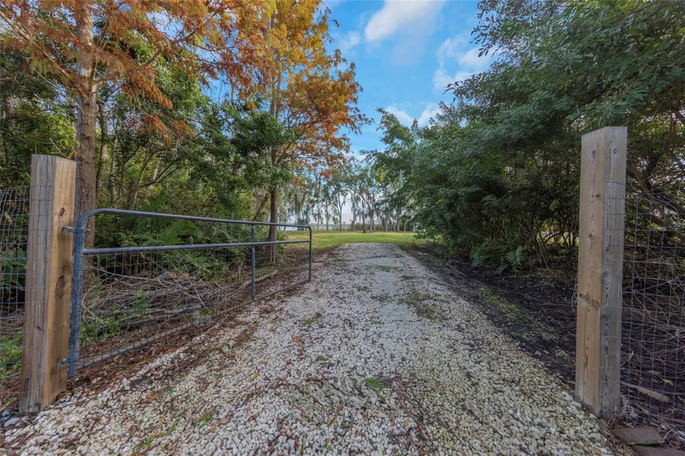 2661 CYPRUS DRIVE Palm Harbor, FL 34684