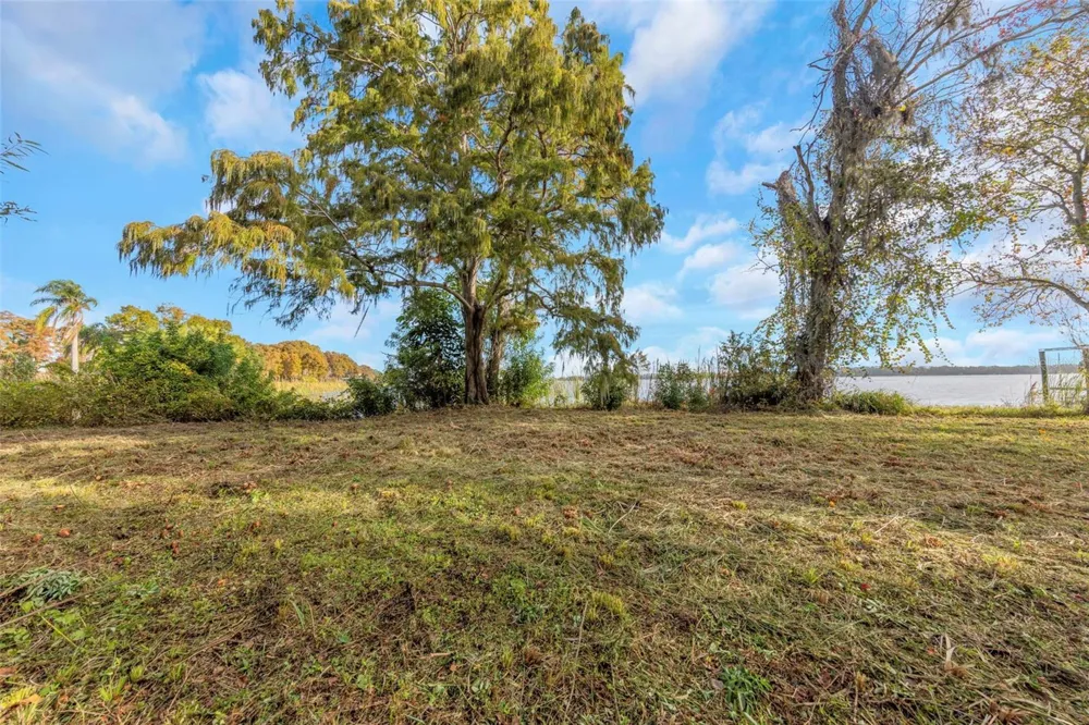 2661 CYPRUS DRIVE Palm Harbor, FL 34684