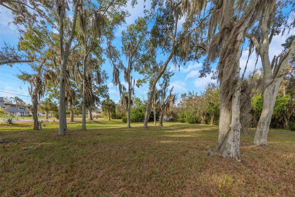 2661 CYPRUS DRIVE Palm Harbor, FL 34684