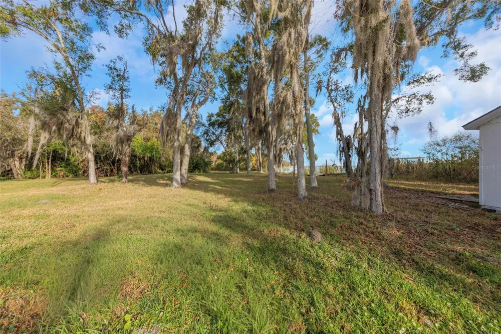 2661 CYPRUS DRIVE Palm Harbor, FL 34684