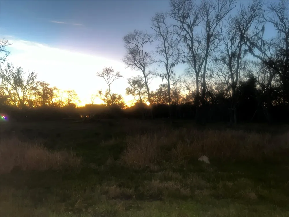 32602 Bayou Bend Richwood, TX 77515