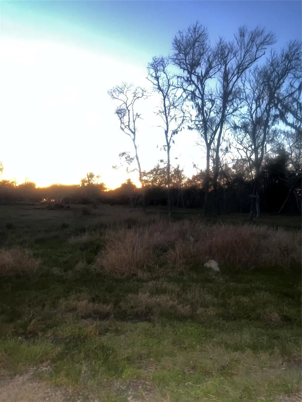 32602 Bayou Bend Richwood, TX 77515