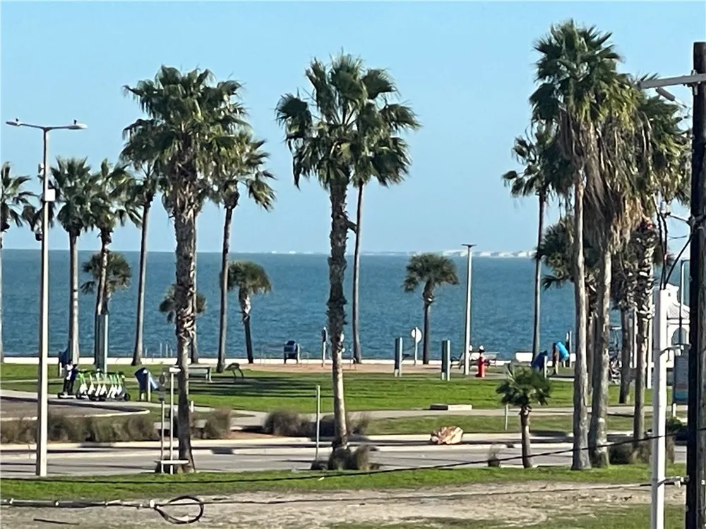 520 S Chaparral Street #301 Corpus Christi, TX 78401