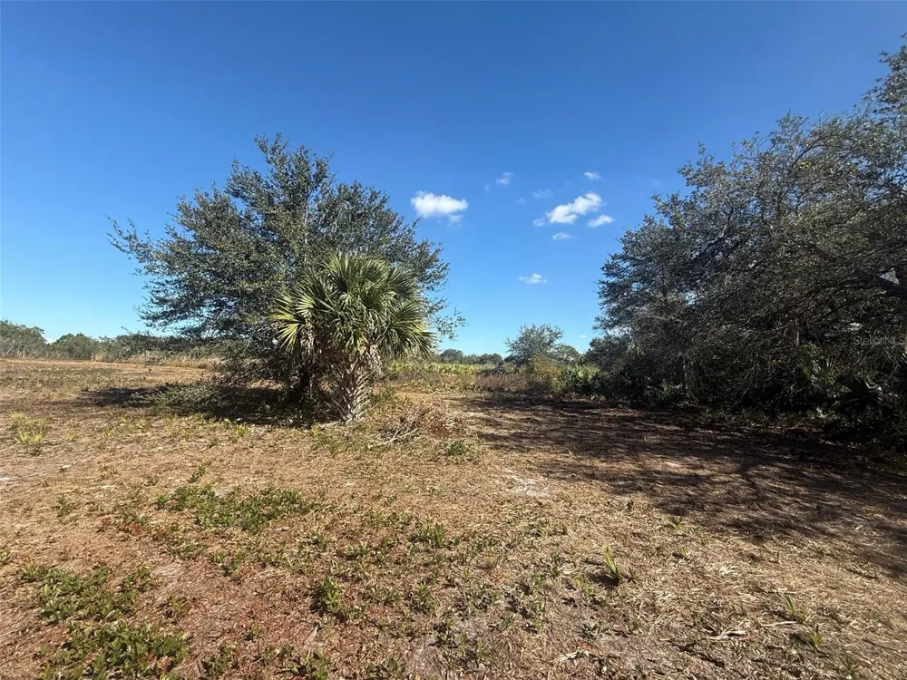 17065 NW 306TH STREET Okeechobee, FL 34972