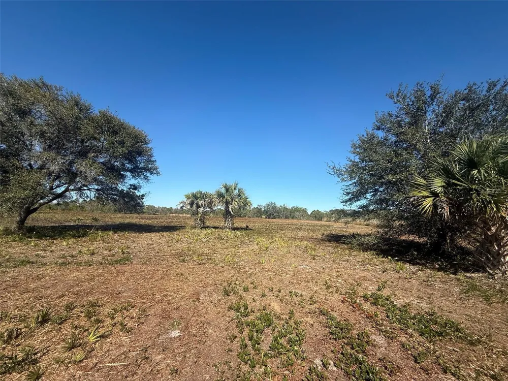 17065 NW 306TH STREET Okeechobee, FL 34972