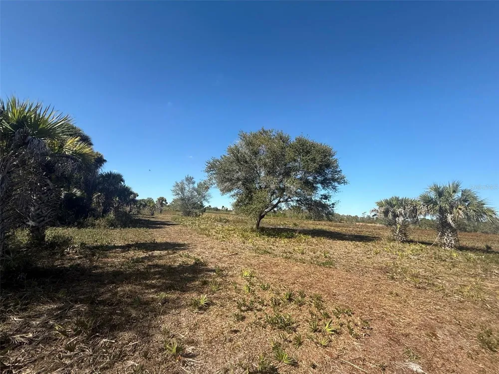 17065 NW 306TH STREET Okeechobee, FL 34972