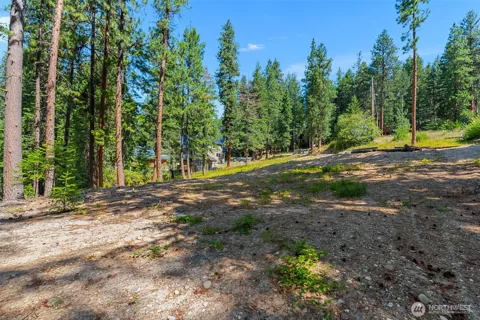 22124 Appaloosa Lane
