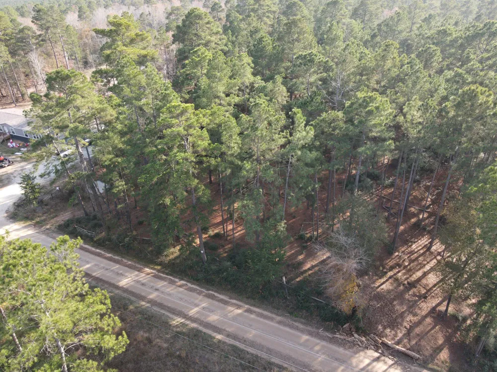 3 County Road 4025 Lovelady, TX 75851