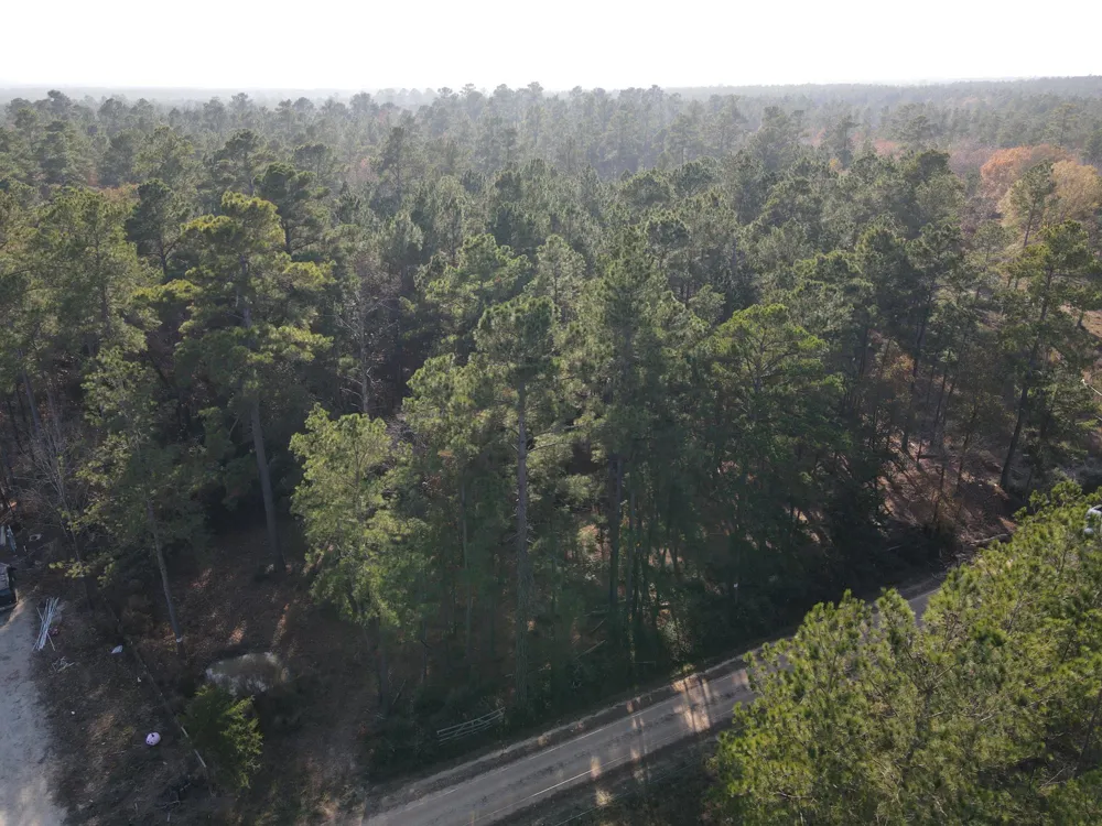 3 County Road 4025 Lovelady, TX 75851