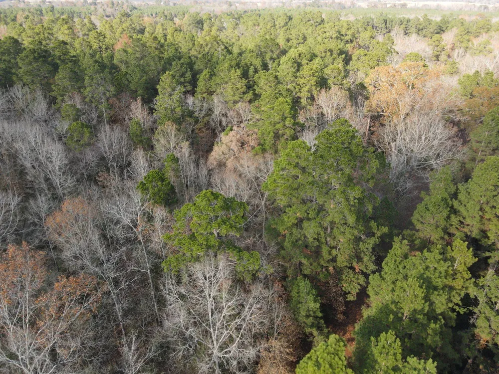 3 County Road 4025 Lovelady, TX 75851