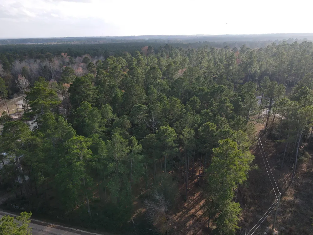 3 County Road 4025 Lovelady, TX 75851