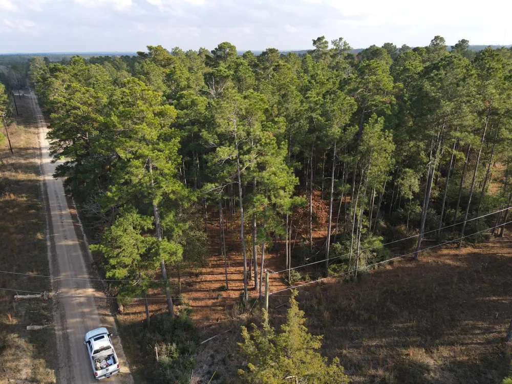 3 County Road 4025 Lovelady, TX 75851