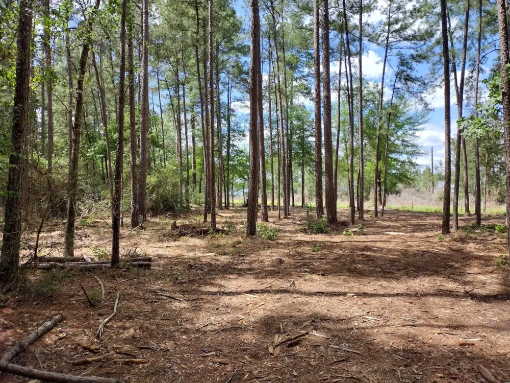 3 County Road 4025 Lovelady, TX 75851