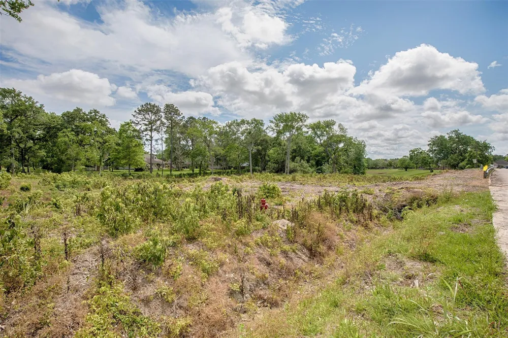 1405 Greenbriar Drive Friendswood, TX 77546