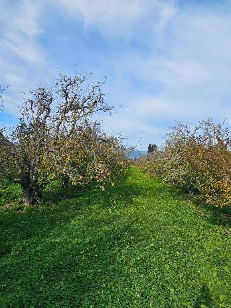 Varni Rd Corralitos, CA 95076