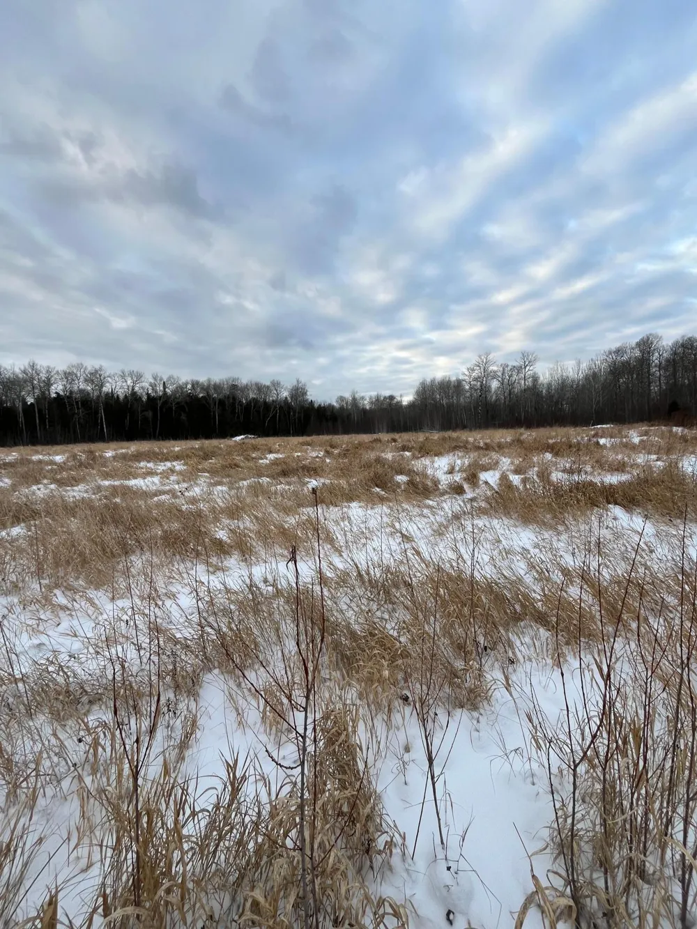 TBD Parcel 2 E Pine Drive Angle Inlet, MN 56711