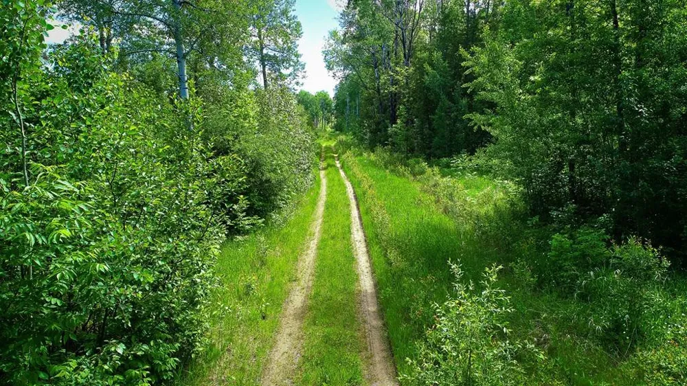 TBD Parcel 2 E Pine Drive Angle Inlet, MN 56711