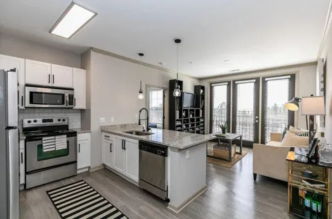 1000 Ashwood Parkways #1409