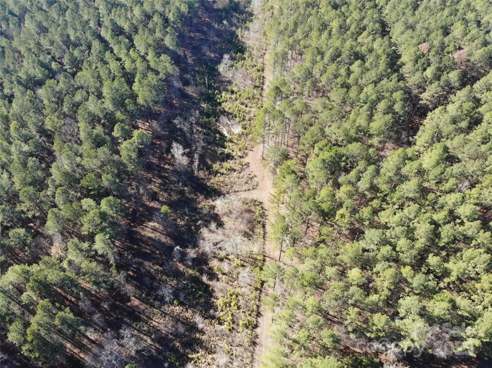 14B Dutchman Creek Road Ridgeway, SC 29130