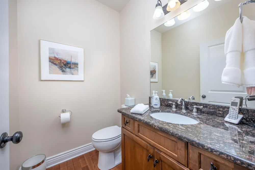 12083 Tullymore Drive Austin Township, MI 49346