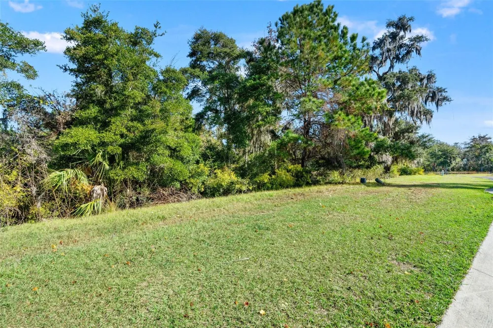 6633 SUMMIT VIEW DRIVE Brooksville, FL 34601