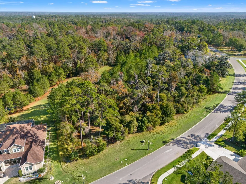 6633 SUMMIT VIEW DRIVE Brooksville, FL 34601