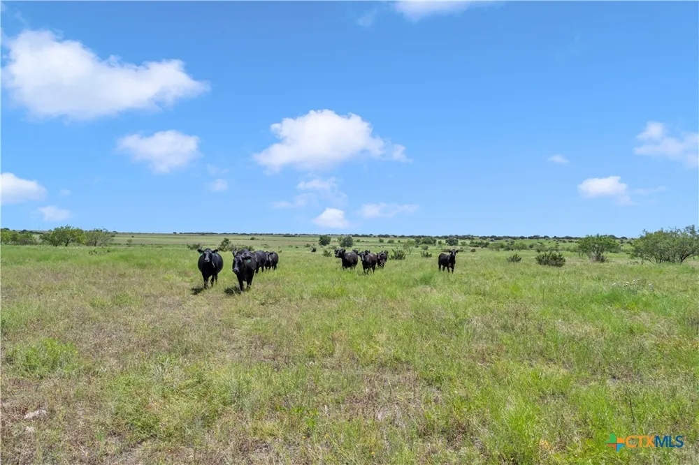 11064 County Road 210 Bertram, TX 78605