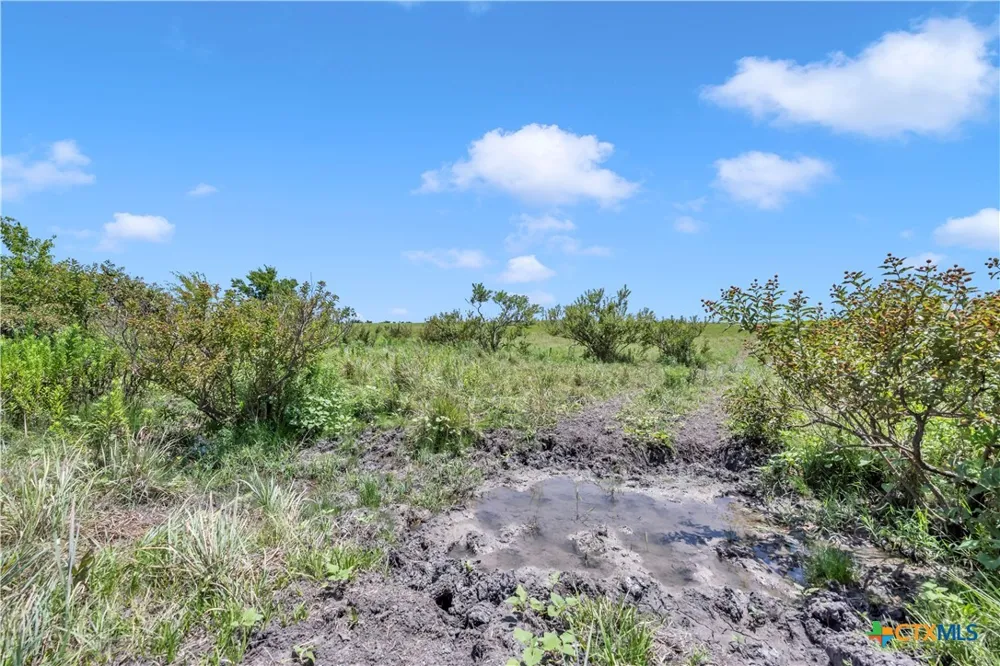 11064 County Road 210 Bertram, TX 78605