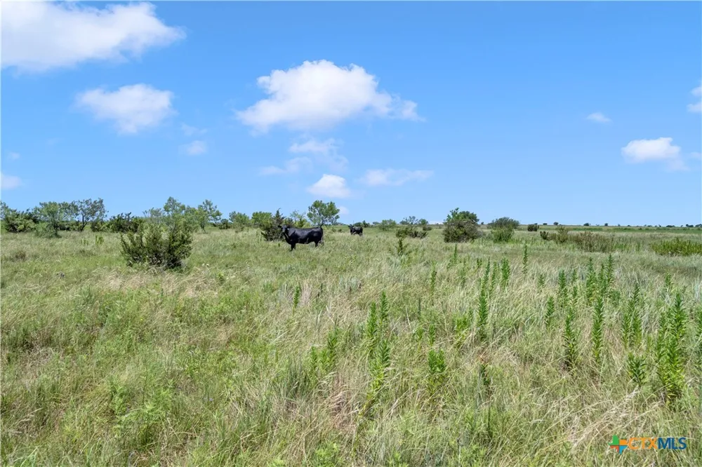 11064 County Road 210 Bertram, TX 78605