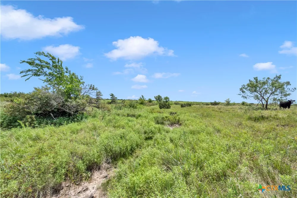 11064 County Road 210 Bertram, TX 78605