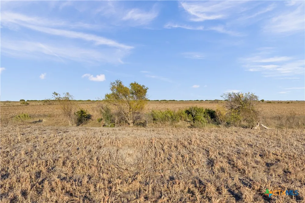11064 County Road 210 Bertram, TX 78605