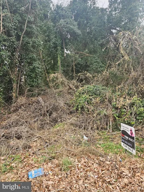 0 SOUTH AVENUE