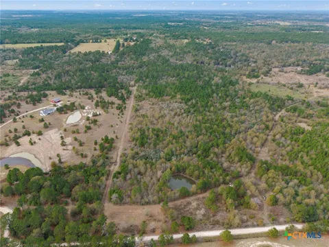 Dickey Loop