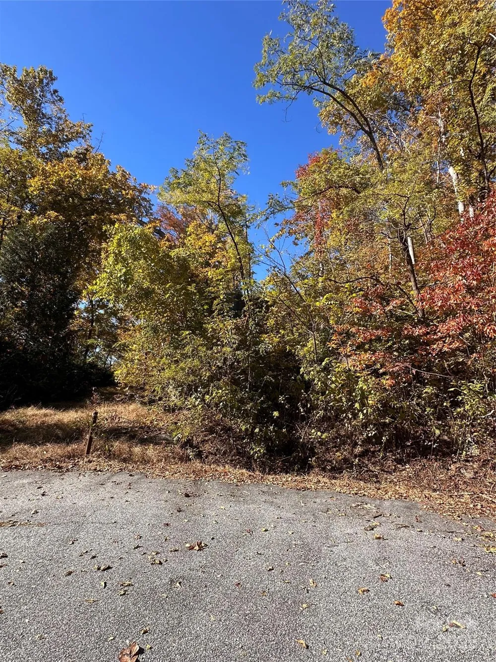 000 Cascada Vista Drive Chimney Rock, NC 28720