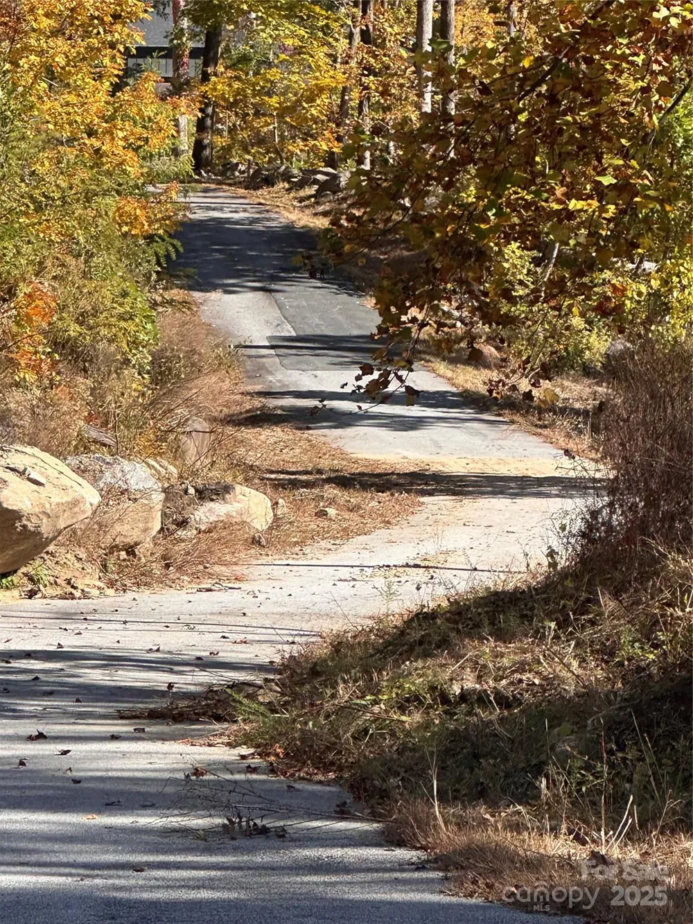 000 Cascada Vista Drive Chimney Rock, NC 28720